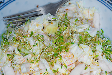 Image showing Salad with sprouts