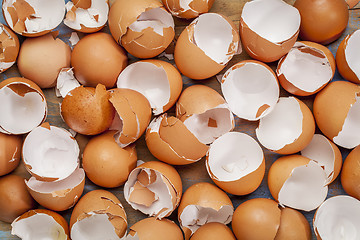 Image showing broken chicken eggshels