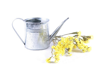 Image showing Yellow dried flowers in an iron watering can
