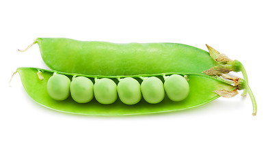 Image showing Pea