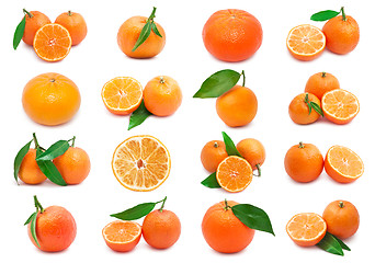 Image showing Mandarins