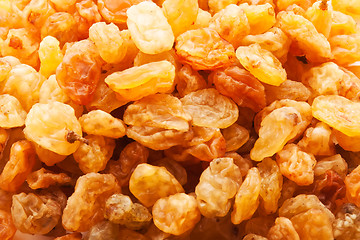 Image showing Raisins