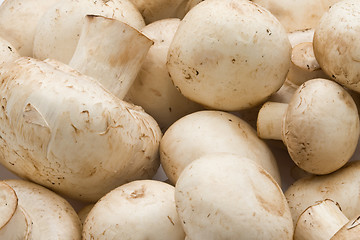 Image showing Champignon mushrooms