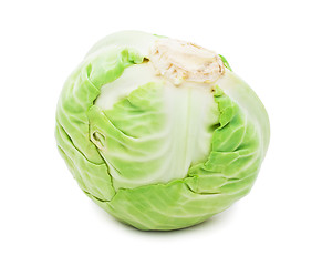 Image showing Cabbage