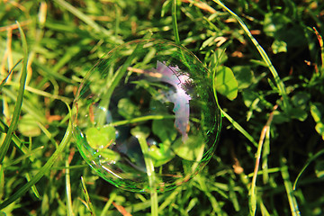 Image showing bubble in the green grass