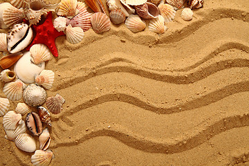 Image showing sand and shells as very nice background