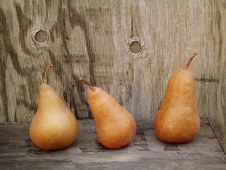 Image showing Rustic Pears