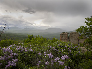 Image showing Bulgarian wonders - a beautiful view - phenomenon of Belogradchik rocks