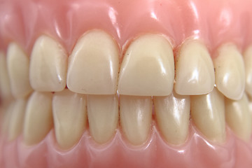 Image showing teeth prosthesis background 