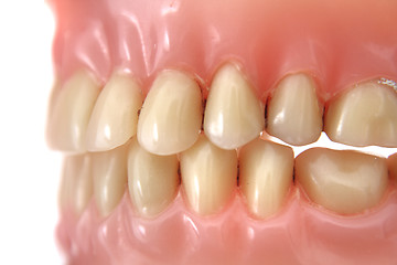 Image showing teeth prosthesis background 