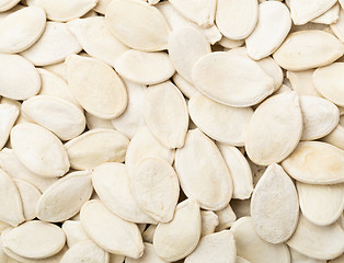 Image showing Pumpkin seed