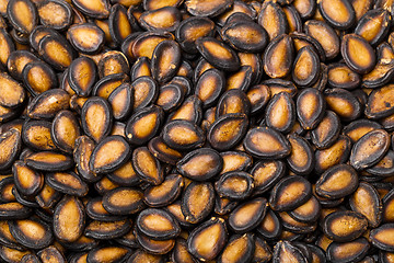 Image showing Black melon seed 