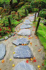 Image showing Pebble stone path with maple leaves in Japan garden