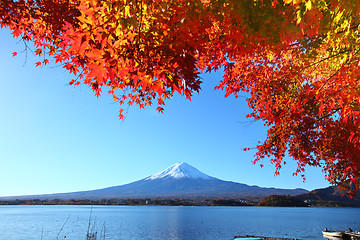 Image showing Mt. Fuji in autumn