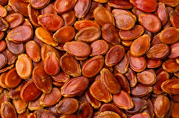 Image showing Red melon seed background