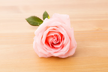 Image showing Rose over wooden background