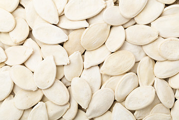 Image showing Pumpkin seed