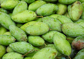 Image showing Green mango