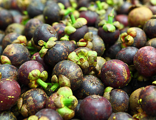 Image showing Tropical mangosteen