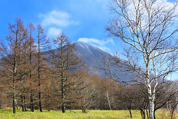 Image showing Countryside with mountain and tree