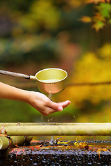 Image showing Purification fountain in Japanese temple