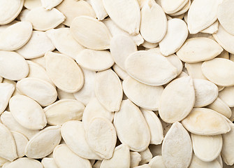 Image showing White Pumpkin seed 