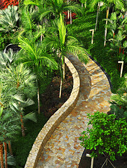 Image showing Stone path in green tree garden