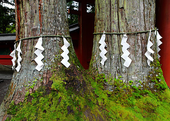 Image showing Shimenawa in Japanese temple