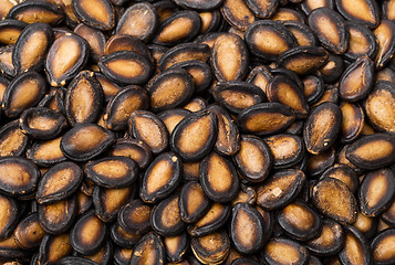 Image showing Dried black watermelon seed 