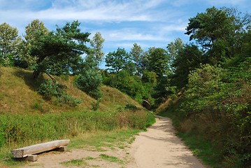 Image showing Summer Landscape