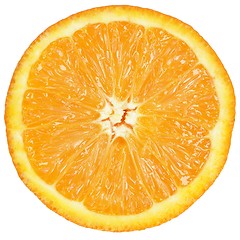 Image showing Orange