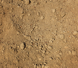 Image showing Dry agricultural brown soil 