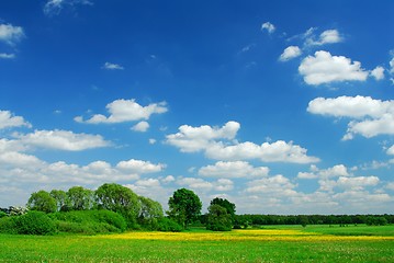 Image showing Spring Landscape