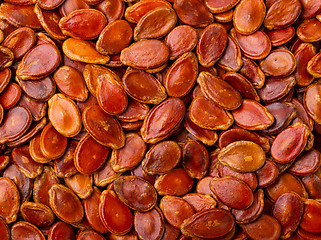 Image showing Red Melon Seeds 