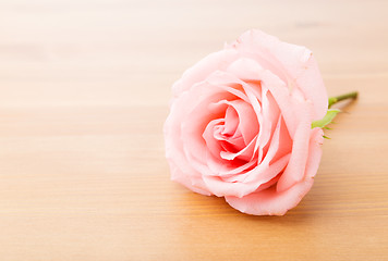 Image showing Single rose on table