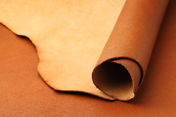 Image showing Brown leather