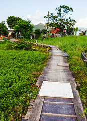 Image showing Wooden bridge through the mangrove reforestation 