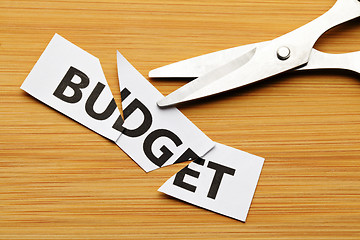 Image showing Budget cut