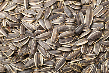 Image showing Sunflower seed background