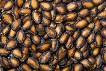 Image showing Black melon seed background