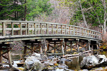 Image showing Wooden bridge in forest