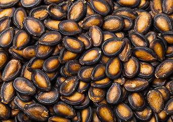 Image showing Black Melon Seeds