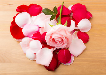 Image showing Rose and petals in heart shape