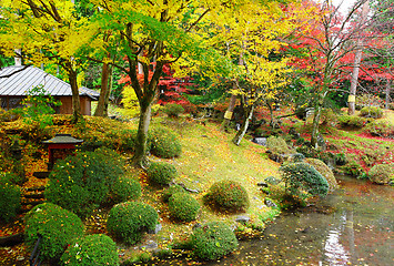 Image showing Japanese garden