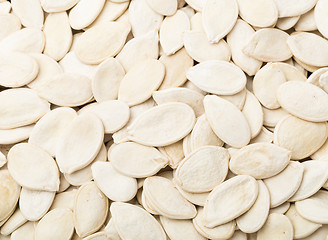 Image showing Pumpkin Seed