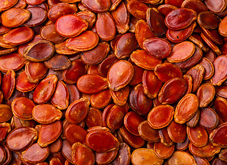 Image showing Red melon seed