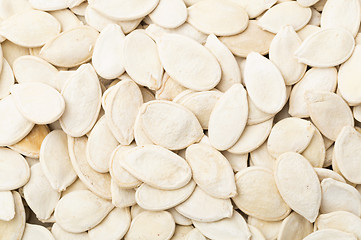 Image showing White Pumpkin seed