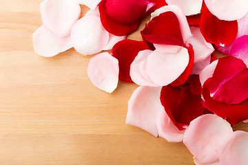 Image showing Rose petal 