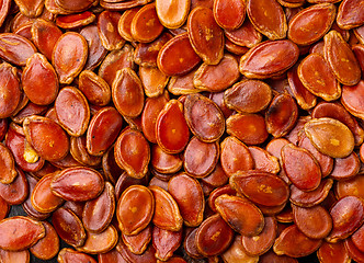 Image showing Red melon seed