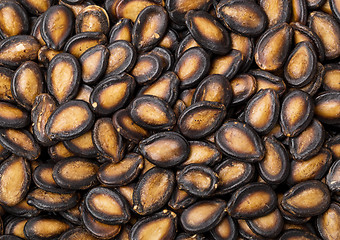 Image showing Black melon seed